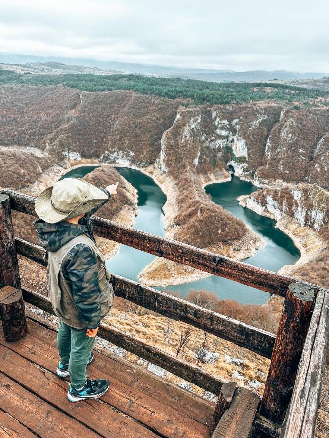 Vila Petunija Sjenica Bagian luar foto