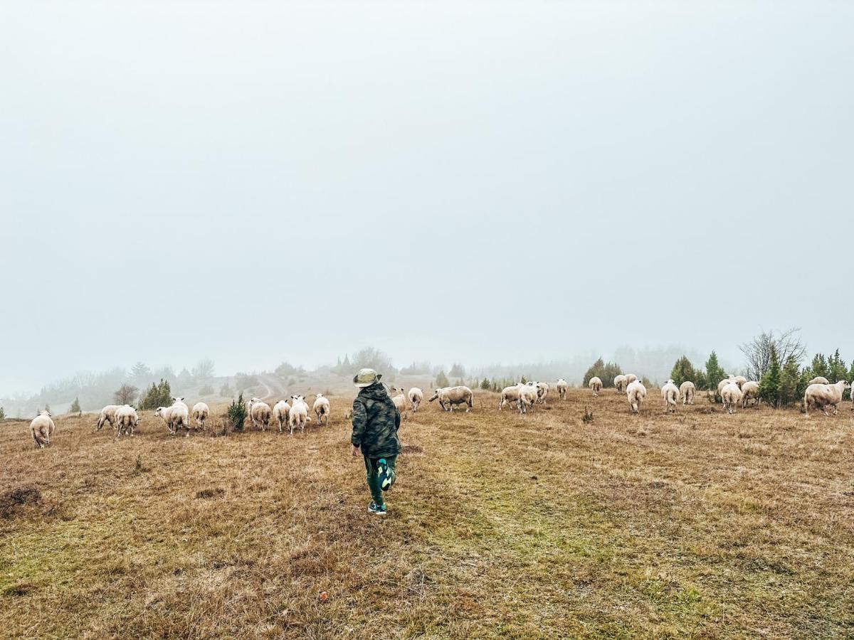Vila Petunija Sjenica Bagian luar foto